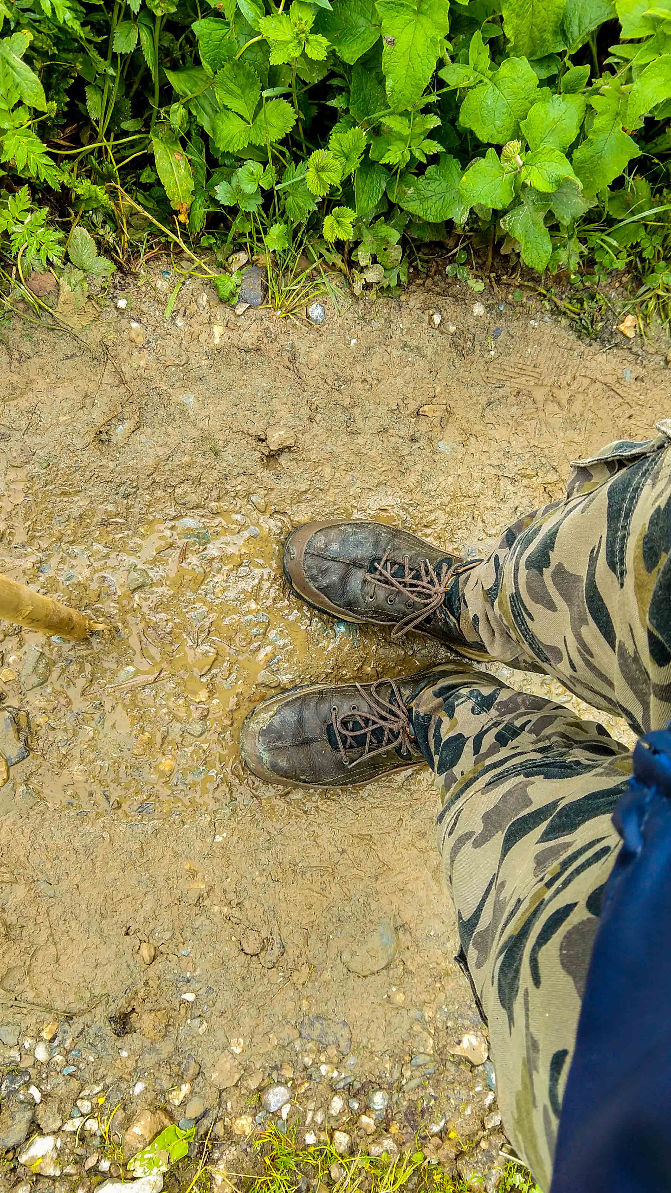 Woodland, Shoes, trekking hill, Himalaya 